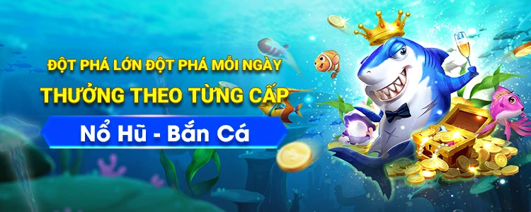 Khám Phá Thế Giới Bóng Đá Cùng 8ok